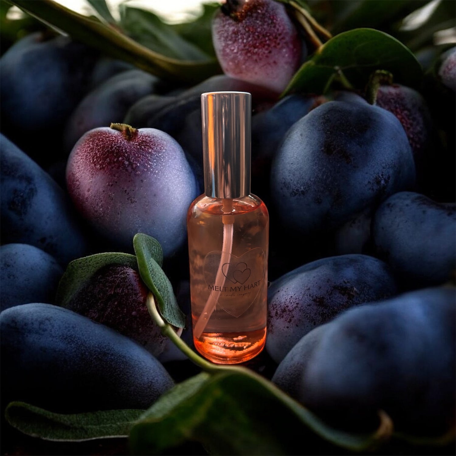 The Hart Strings Collection